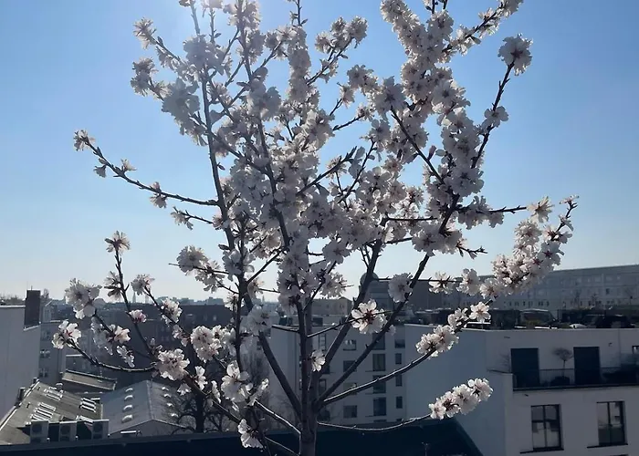 Penthouse Living Mitte Appartamento Berlino