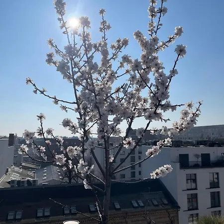 Penthouse Living Mitte